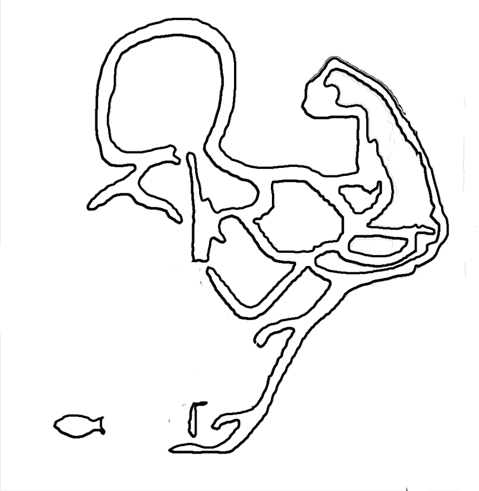 Total Fitness Physical Therapy Hawaii